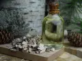 Olejek z kory brzozy, czyli betulina, w buteleczce z korkiem, obok szyszek i fragmentów kory.